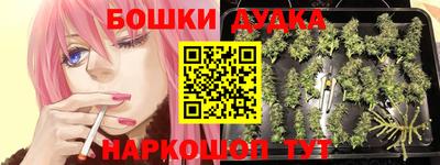 spice Кандалакша
