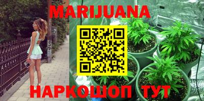 spice Кандалакша