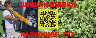 spice Кандалакша