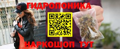 прущий лед Канаш