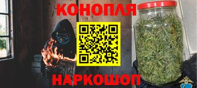 a pvp Камышлов