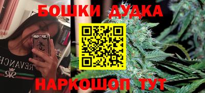a pvp Камышлов