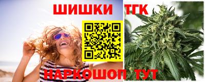 a pvp Камышлов