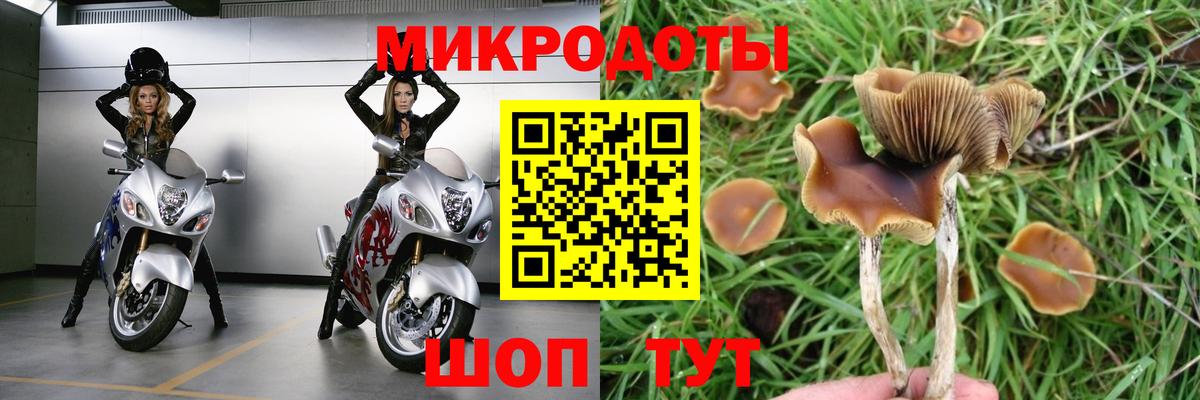 Псилоцибиновые грибы мицелий Лабытнанги
